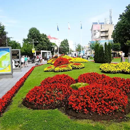 Wooden House In By Wicko *