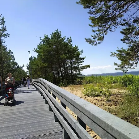 Wooden House In By Wicko